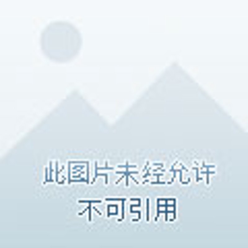 打造安阳网站制作的艺术：技巧与灵感